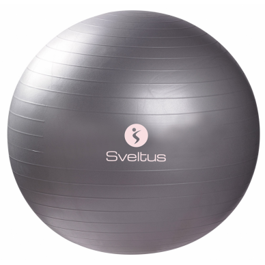 GIMNASTIKOS KAMUOLYS SVELTUS 55 CM 5