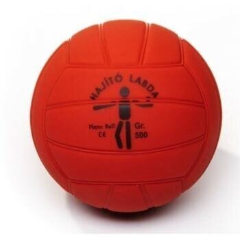 Svorinis kamuolys MEDICINE ball 2
